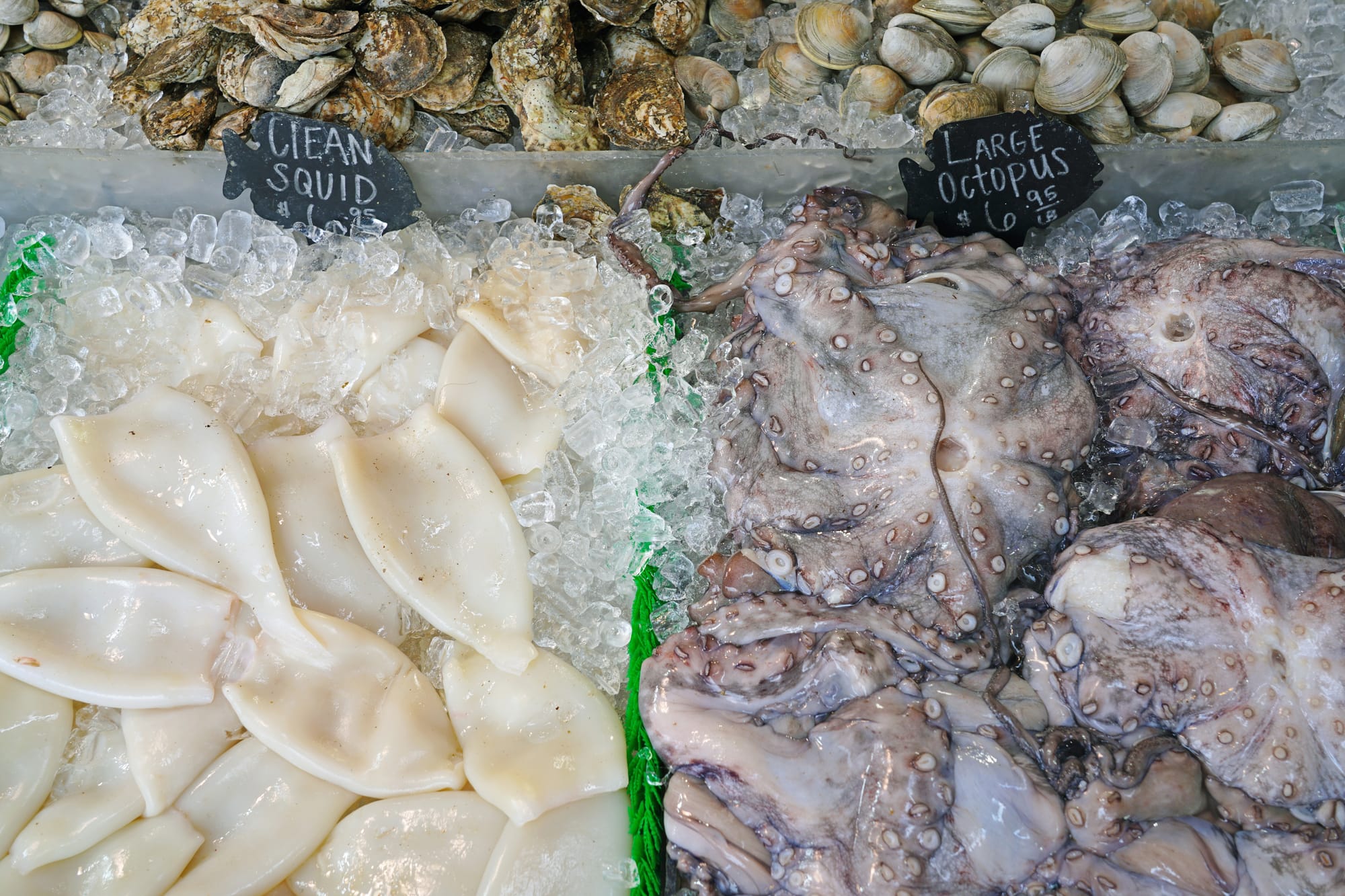 clean squid calamari and large octopus at fish market seller